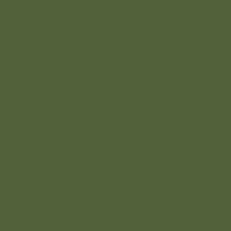 Tru - Color TCP - 1410 FS 34094 NATO Green 1 oz - Oakville Model Trains Depot