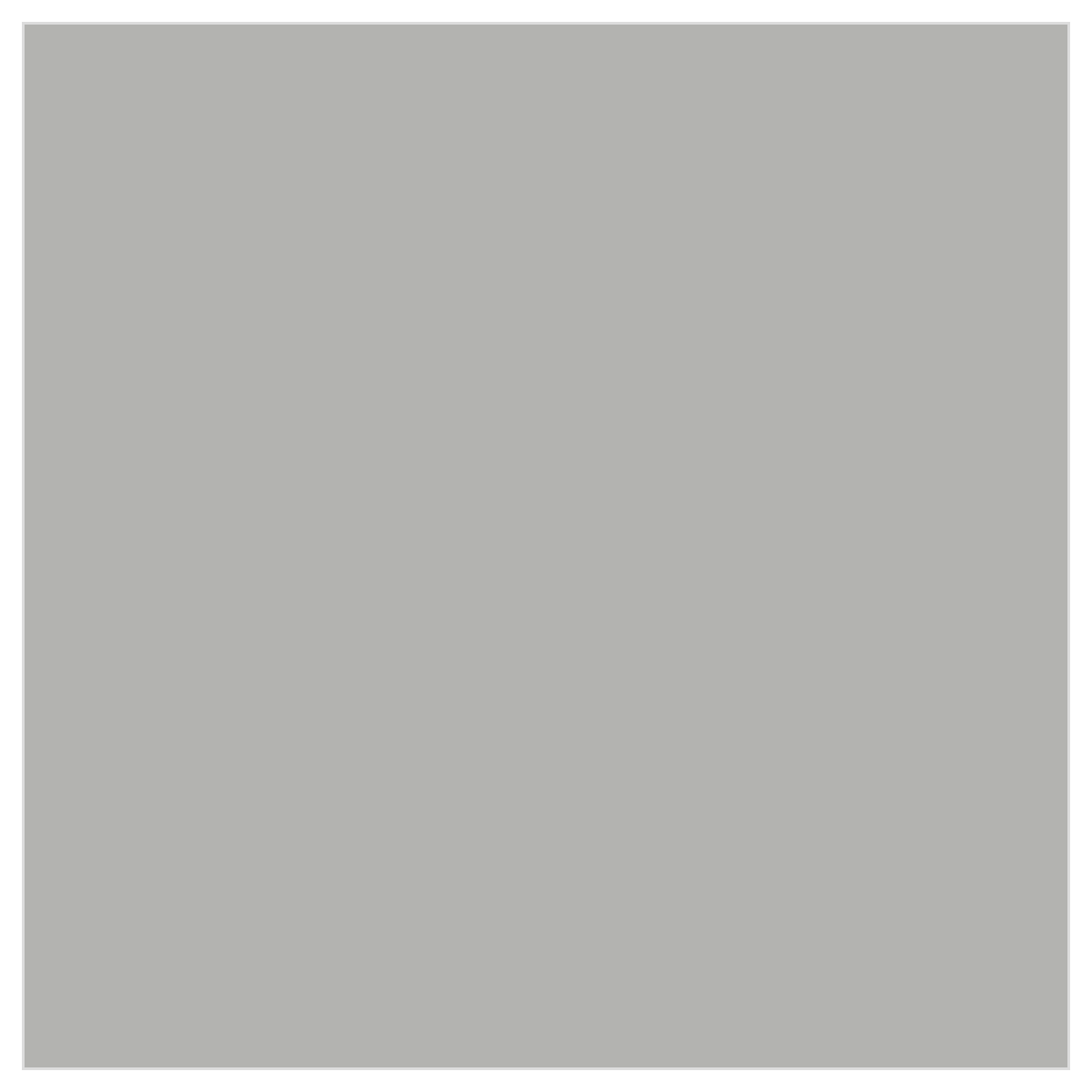 Tru-Color TCP-256 Light Primer 2 oz color chip