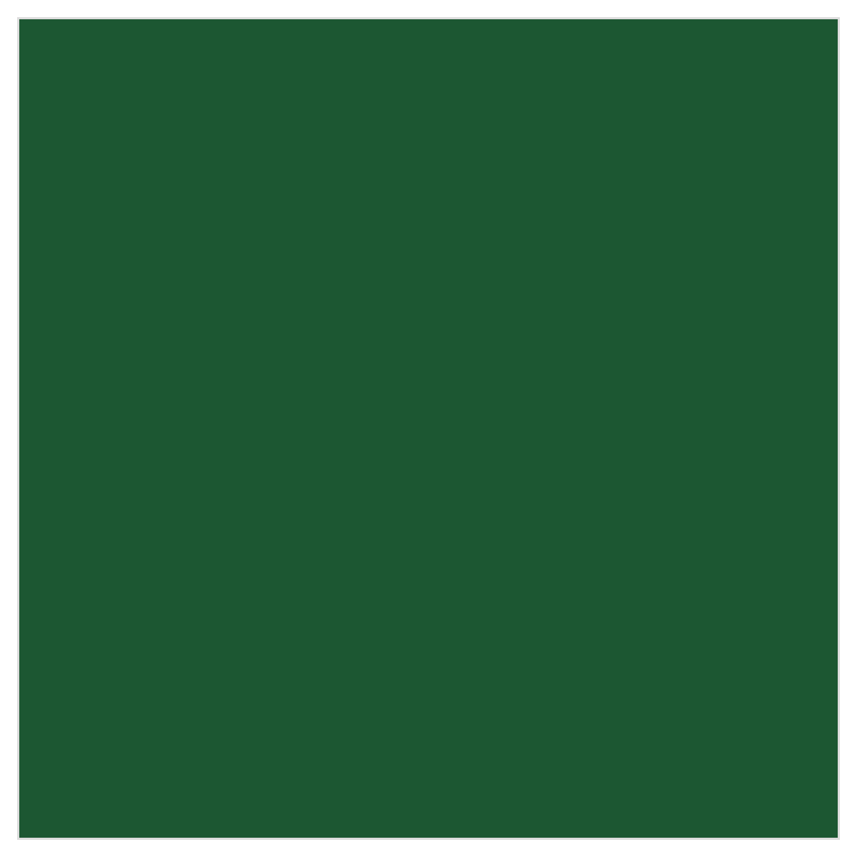 Tru-Color TCP-341 NB Southern Green 1 oz color chip