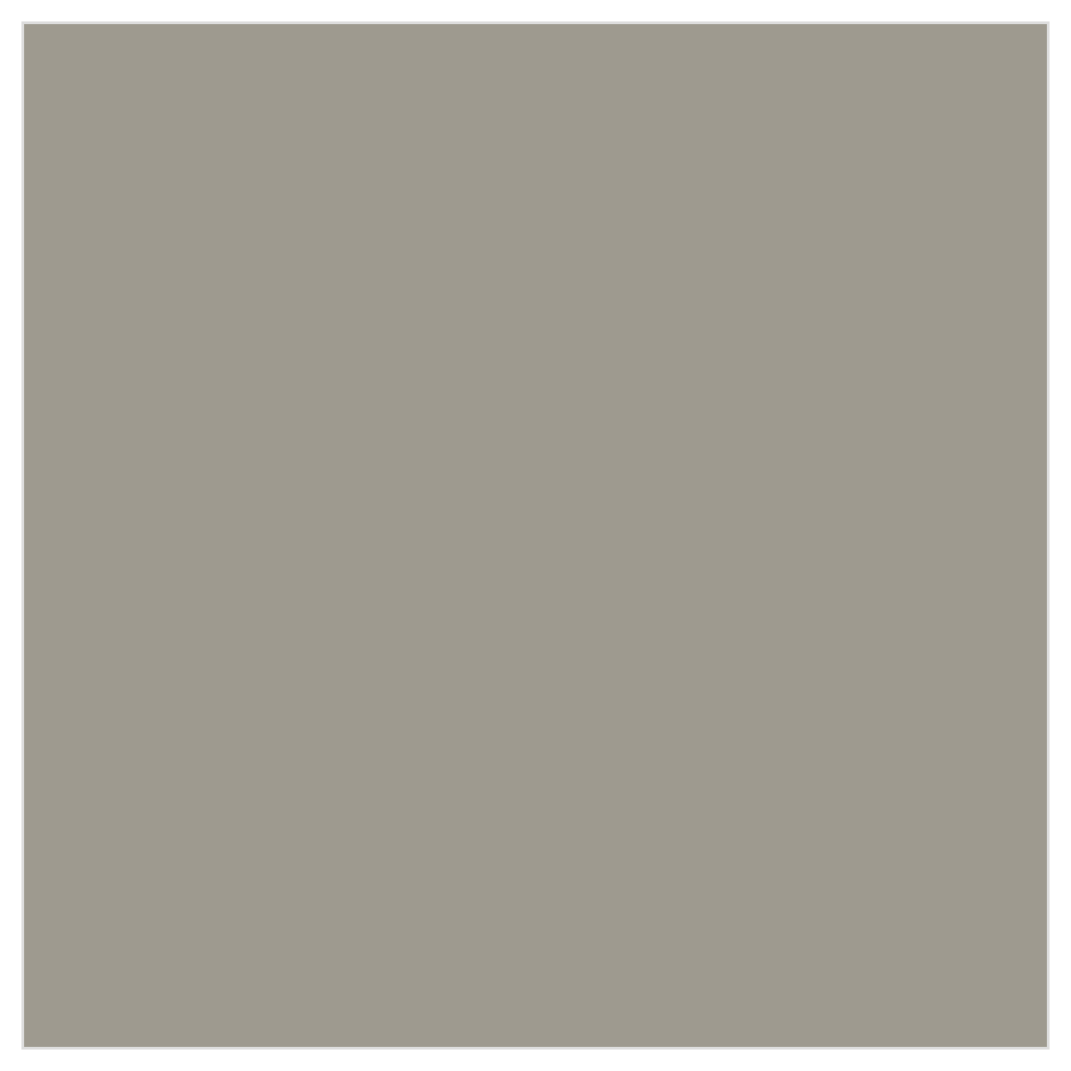 Tru-Color TCP-348 Weathered Gray Wood 1 oz color chip