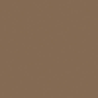 Tru - Color TCP - 824 Flat, Brushable Earth 2 oz - Oakville Model Trains Depot