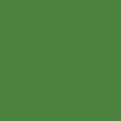 Tru - Color TCP - 303 ILL Term Light Green 1 oz - Oakville Model Trains Depot