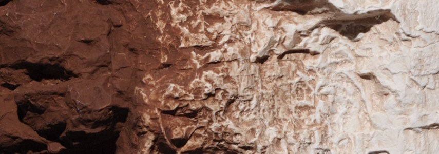 Woodland Scenics 1222 Earth Colors™ Burnt Umber Liquid Pigment 4 fl oz / 118 mL