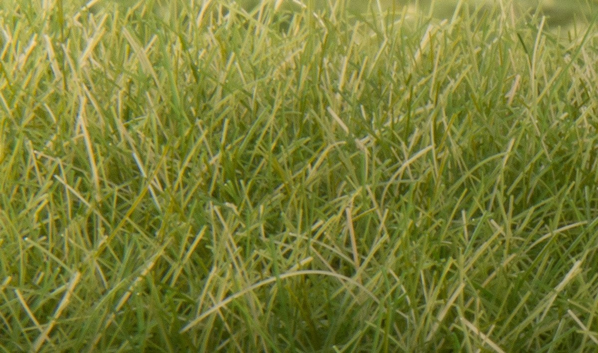 Woodland Scenics FS626 Static Grass Medium Green 12mm