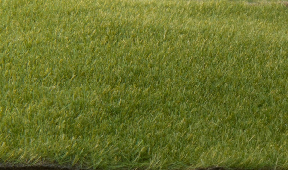 Woodland Scenics FS613 Static Grass Dark Green 2mm - Oakville Model Trains Depot
