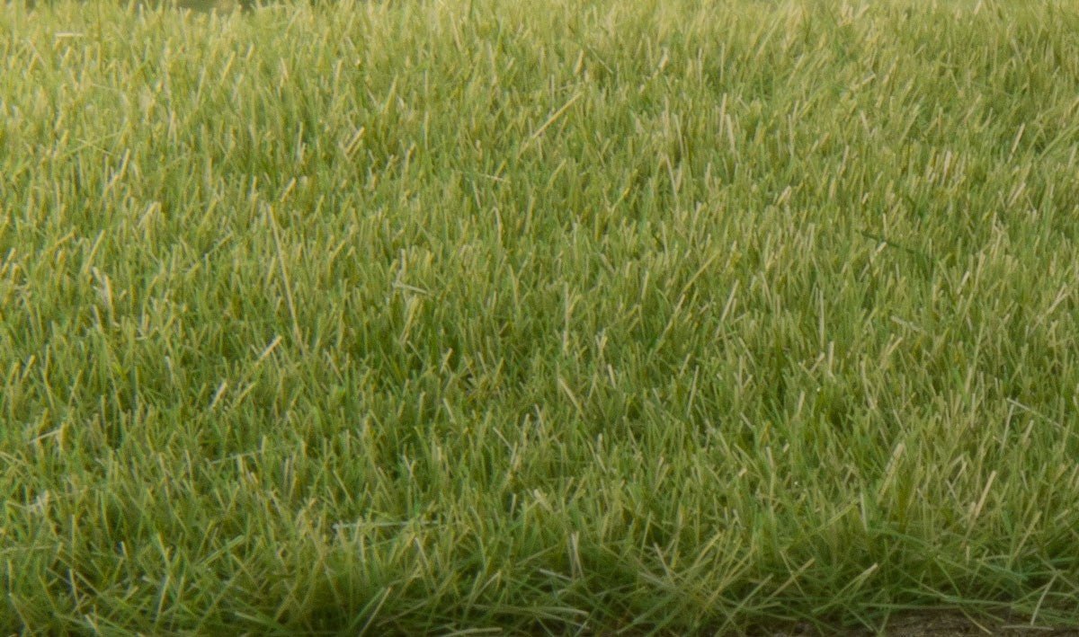 Woodland Scenics FS618 Static Grass Medium Green 4mm - Oakville Model Trains Depot