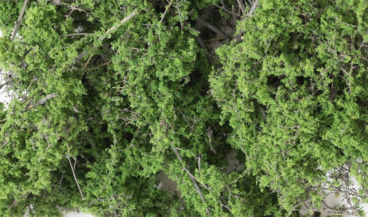 Woodland Scenics 1131 Fine-Leaf Foliage™ Medium Green - New