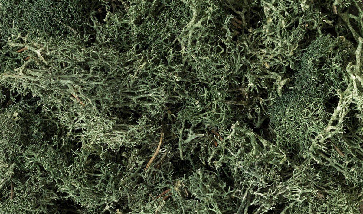 Woodland Scenics L164 Lichen Dark Green - Oakville Model Trains Depot