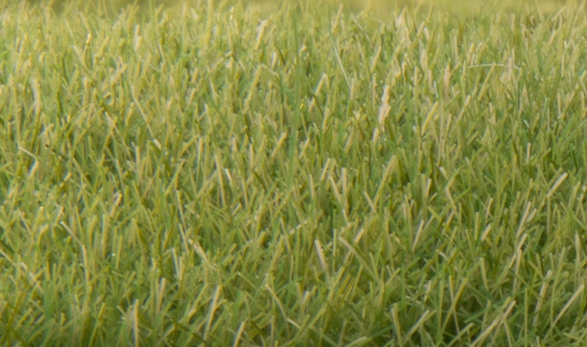 Woodland Scenics FS622 Static Grass Medium Green 7mm