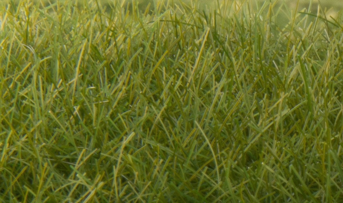 Woodland Scenics FS625 Static Grass Dark Green 12mm