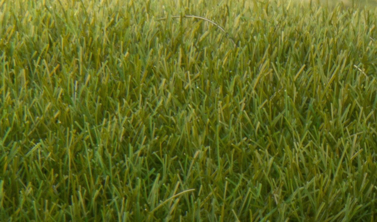 Woodland Scenics FS621 Static Grass Dark Green 7mm - Oakville Model Trains Depot