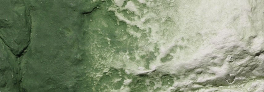 Woodland Scenics 1228 Earth Colors™ Green Undercoat Liquid Pigment 8 fl oz/236ml