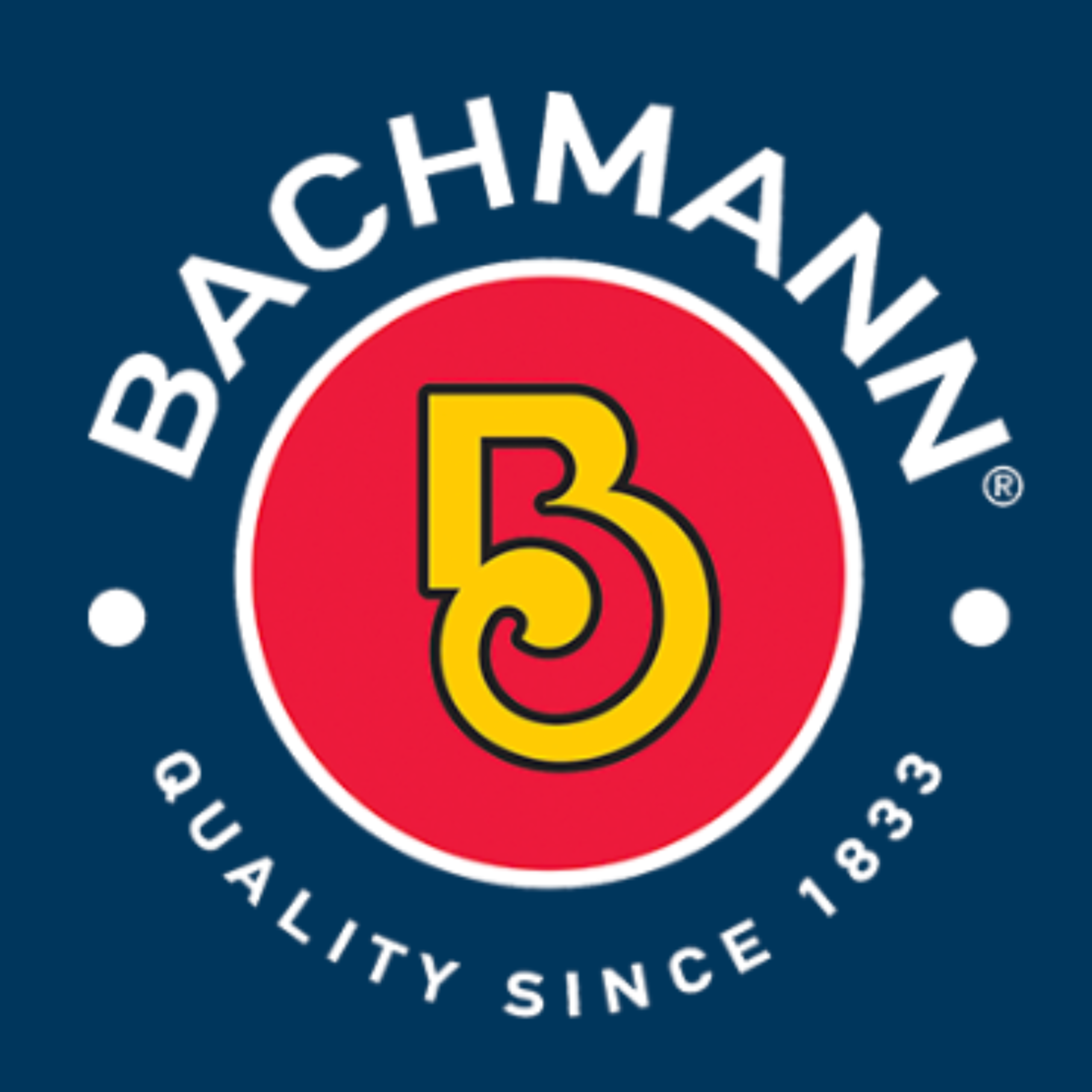 Bachmann logo