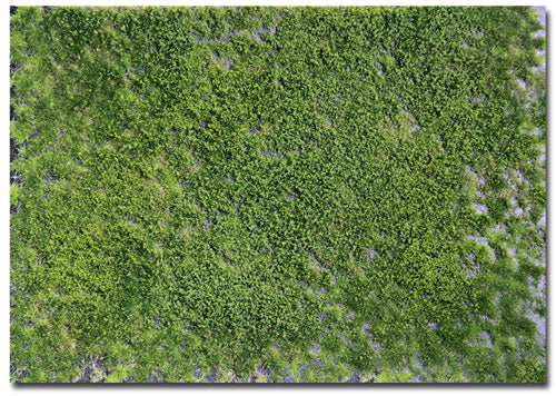 Martin Welberg PW242 2-4mm Summer Layered Tufts with Weeds