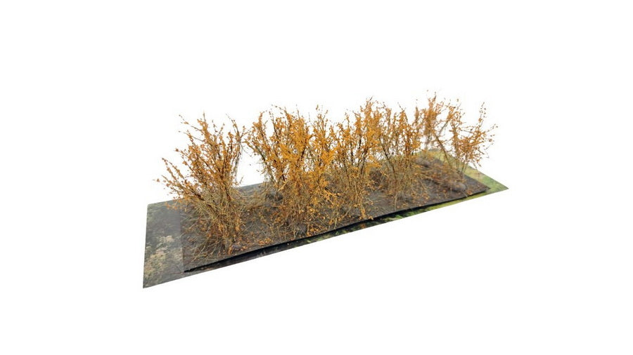 Martin Welberg SCOH Bushes Type C Orange Fall