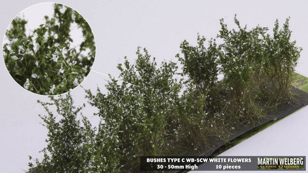 Martin Welberg SCW Bushes Type C White Flowers