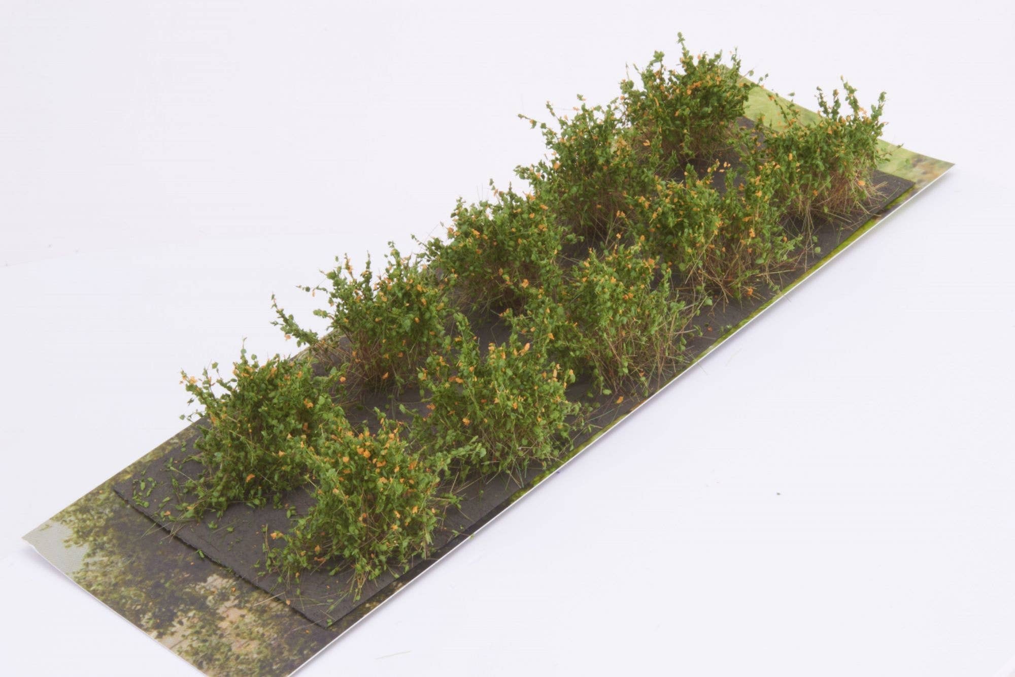 Martin Welberg SDO Bushes Type D Orange