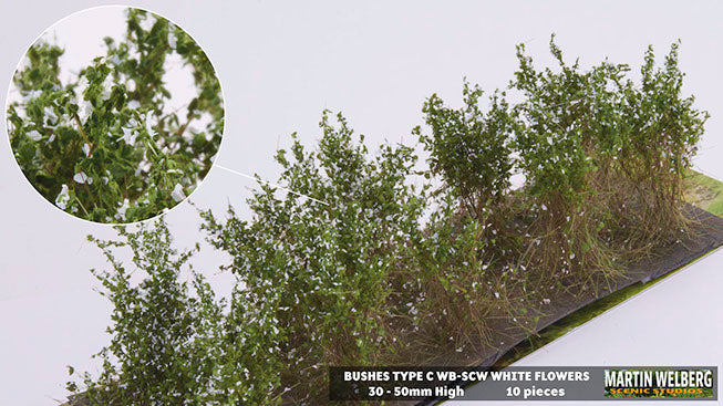 Martin Welberg SCW Bushes Type C White Flowers