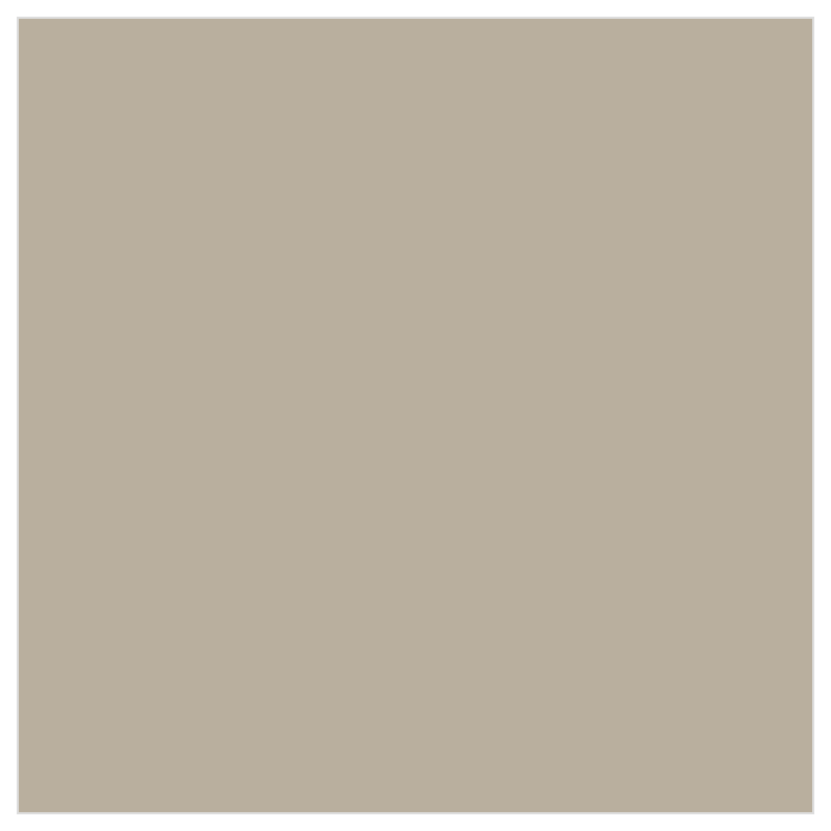 Tru-Color TCP-6 Concrete 1 oz color chip