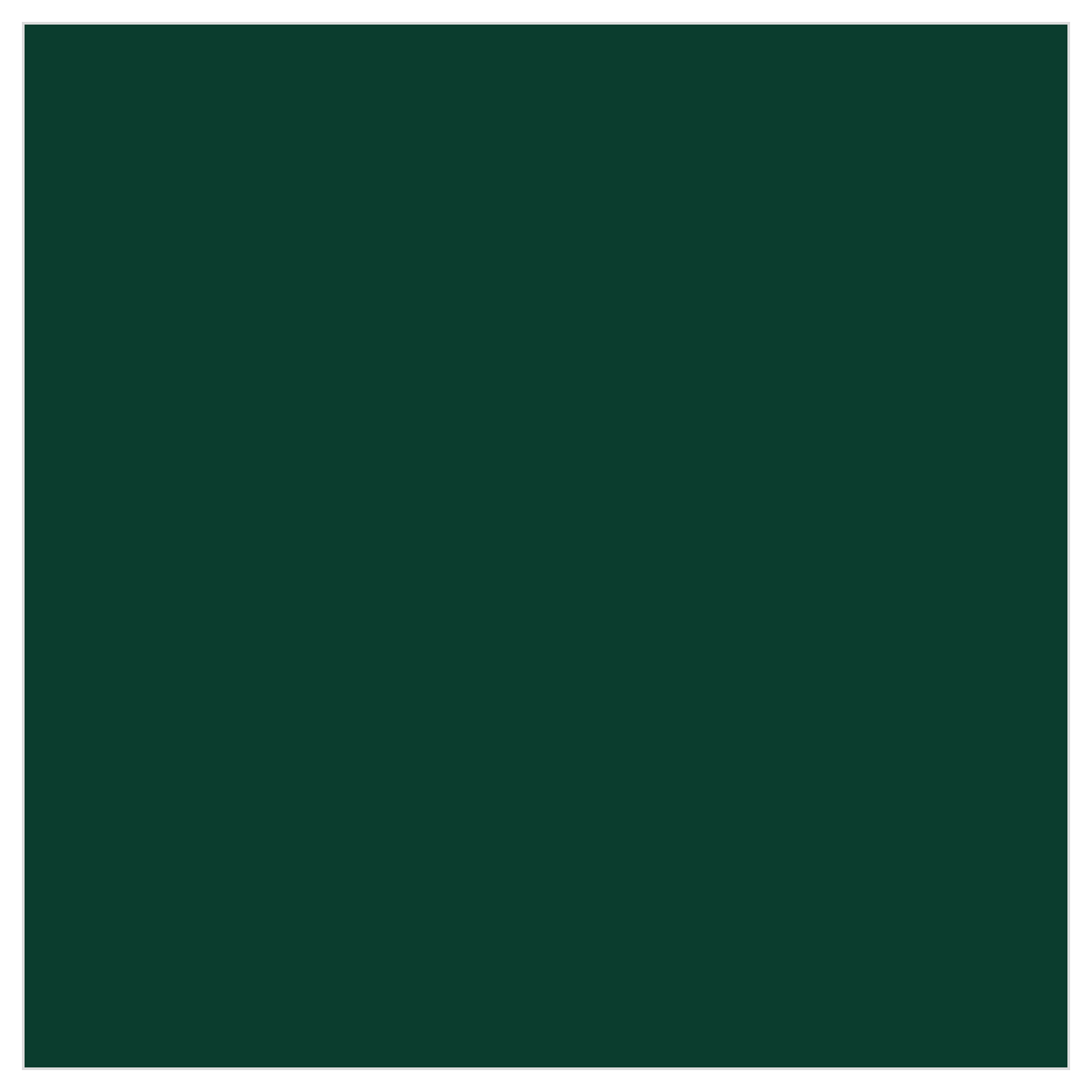 Tru-Color TCP-125 BC Rail Dark Green 1 oz color chip