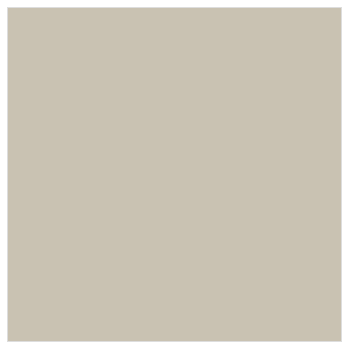 Tru-Color TCP-172 Weathered Concrete 1 oz color chip