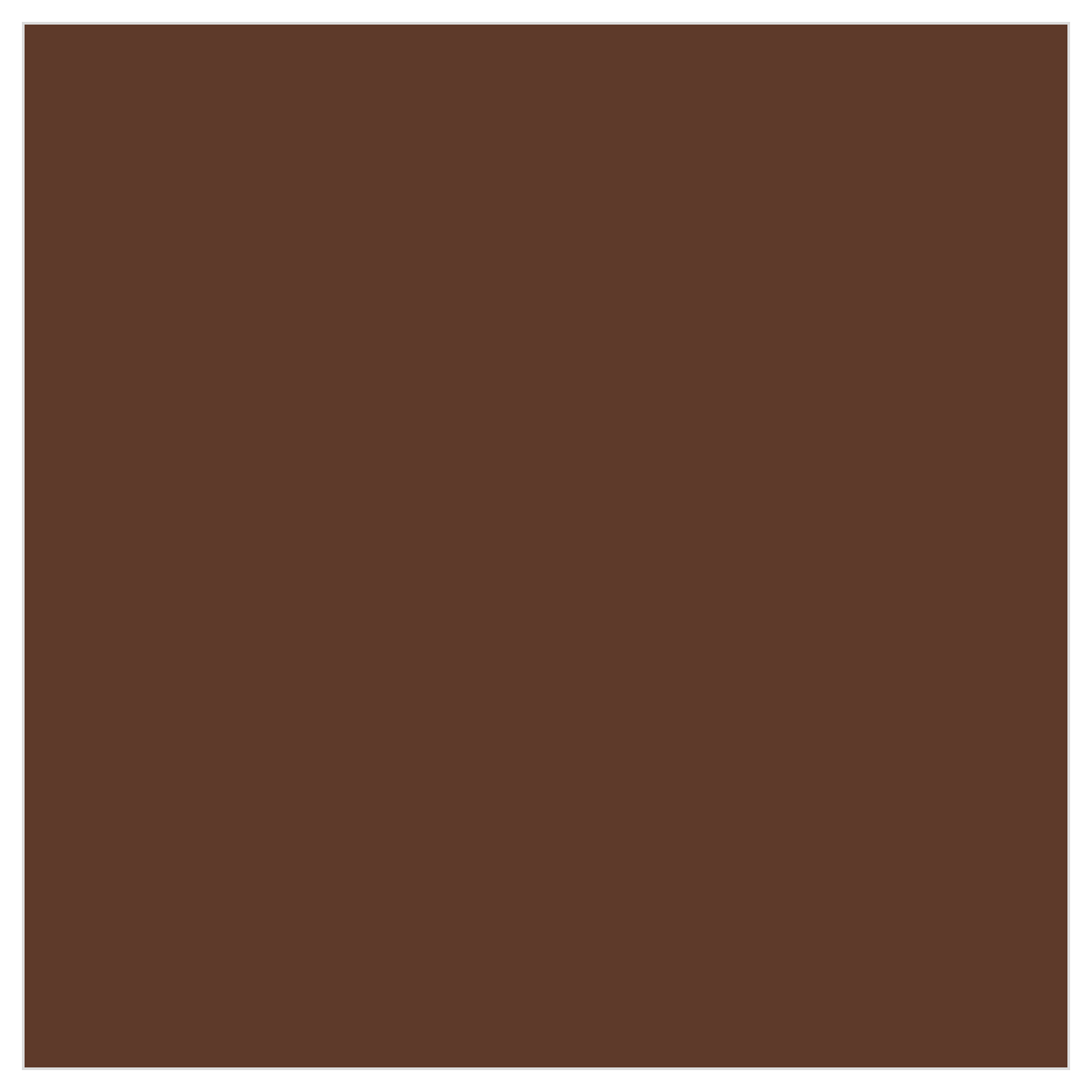 Tru-Color TCP-406 Matte Dark Rust 1 oz color chip