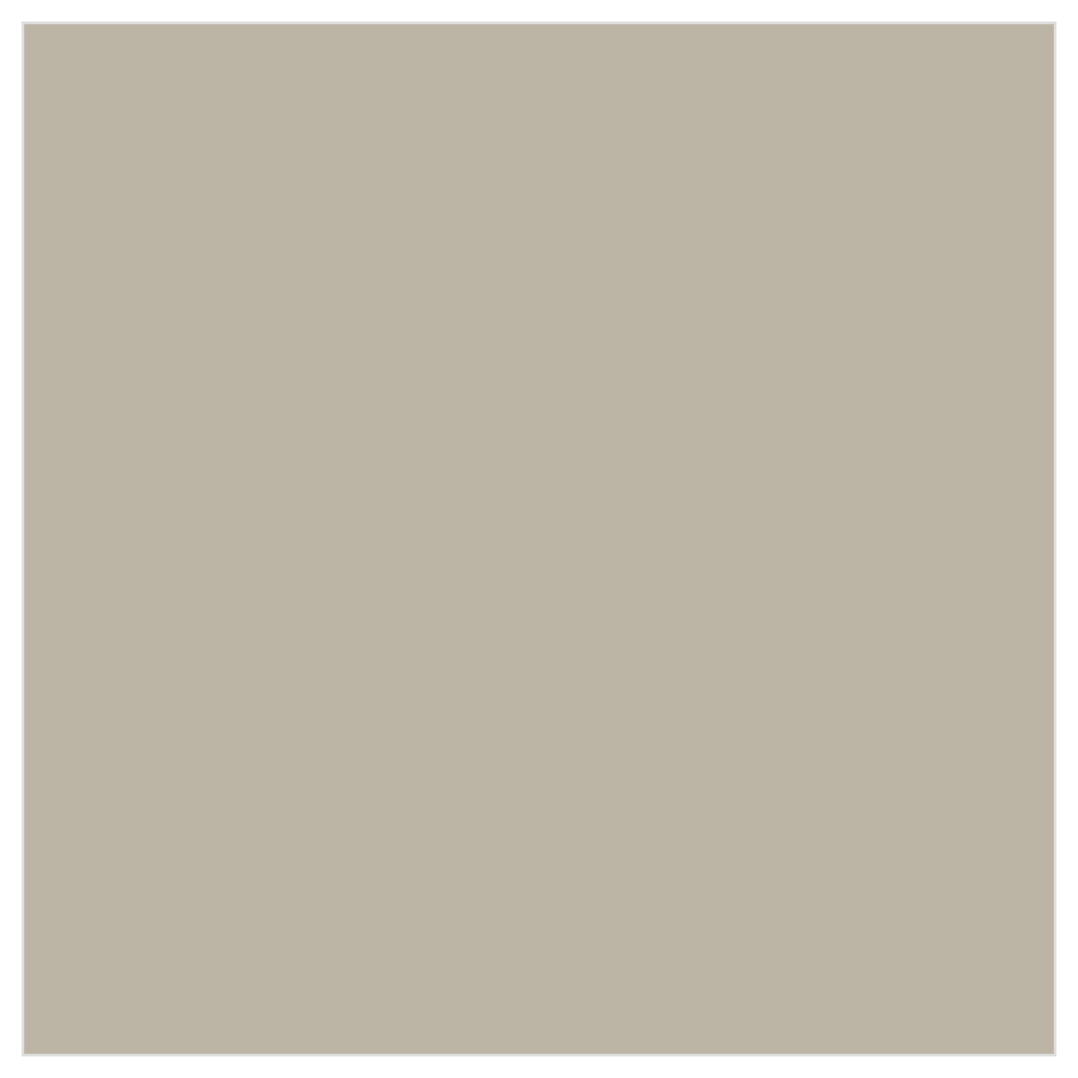 Tru-Color TCP-801 Flat Concrete 1 oz color chip
