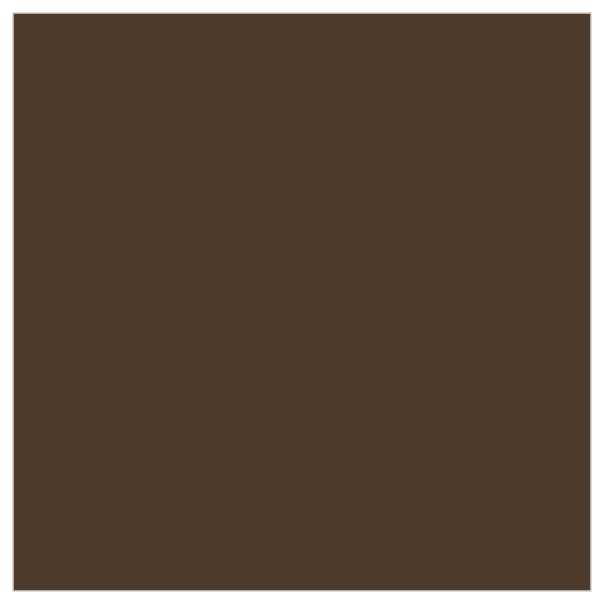 Tru-Color TCP-822 Flat Railroad Tie Brown 1 oz color chip