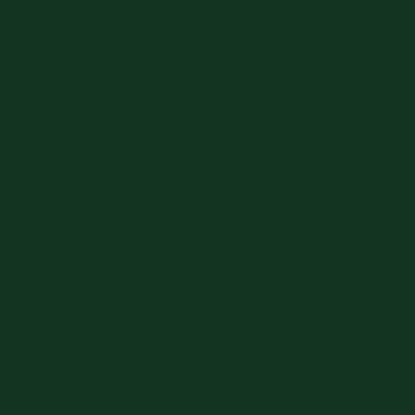 Tru-Color TCP-338 Seaboard Air Line Dark Green paint colour swatch - Oakville Model Trains Depot