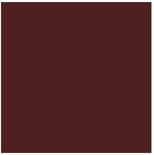 Tru - Color TCP - 163 Southern Pacific - Depot Trim Brown 1 oz - Oakville Model Trains Depot