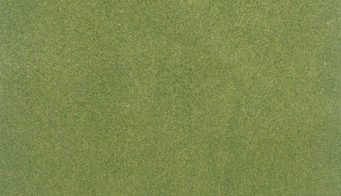 Woodland Scenics RG5171 Spring Grass Small Roll 25" x 33" - Oakville Model Trains Depot