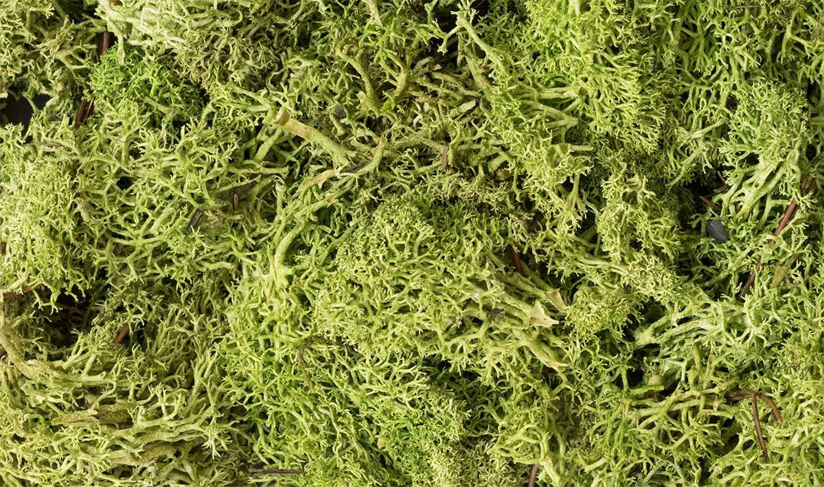 Woodland Scenics L162 Lichen Light Green