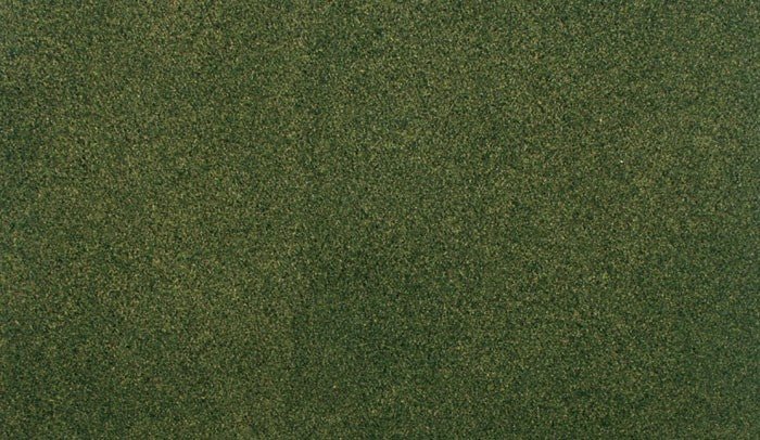 Woodland Scenics RG5143 Forest Grass Project Sheet 12 1/2" x 14 1/8" - Oakville Model Trains Depot