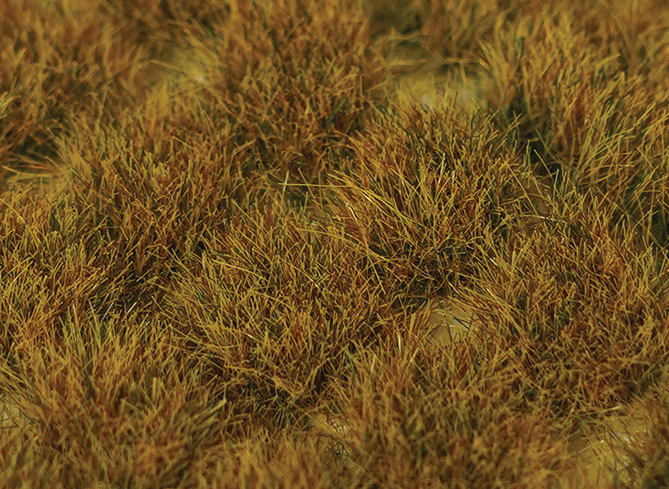 Peco SGTWGR10 Wild Grass Tufts 10 mm x 100