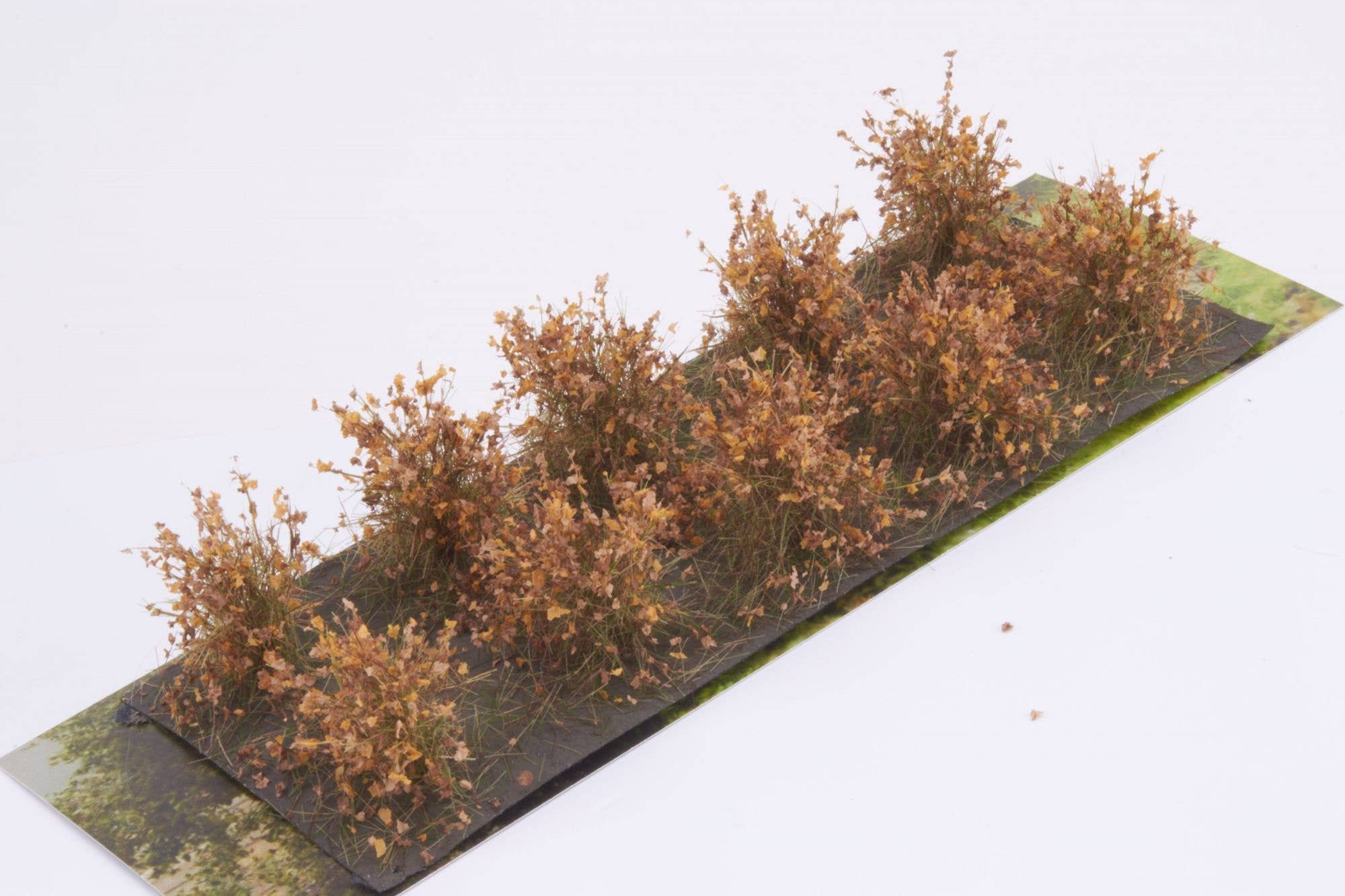 Martin Welberg SABR Bushes Type A Brown