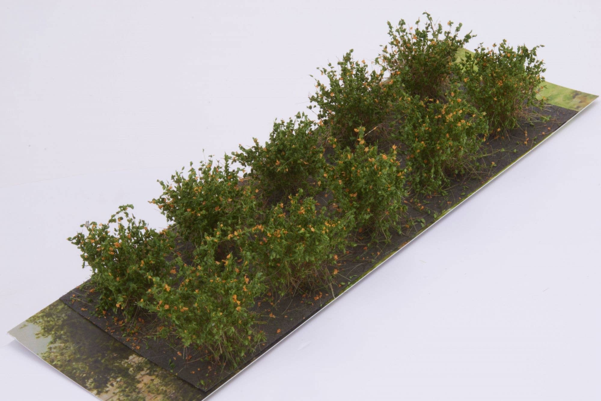 Martin Welberg SAO Bushes Type A Orange