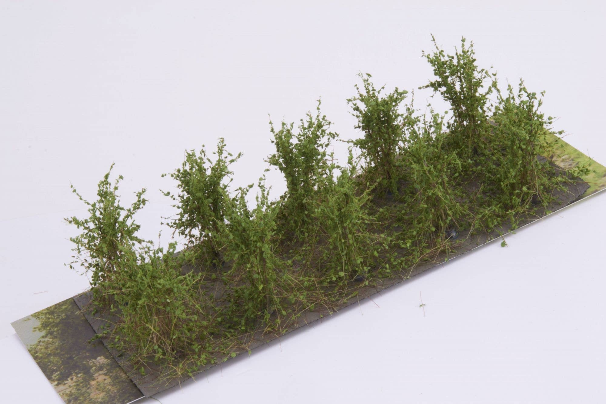 Martin Welberg FL-SBM Bushes Type B with Fine Leaves - Moss Green