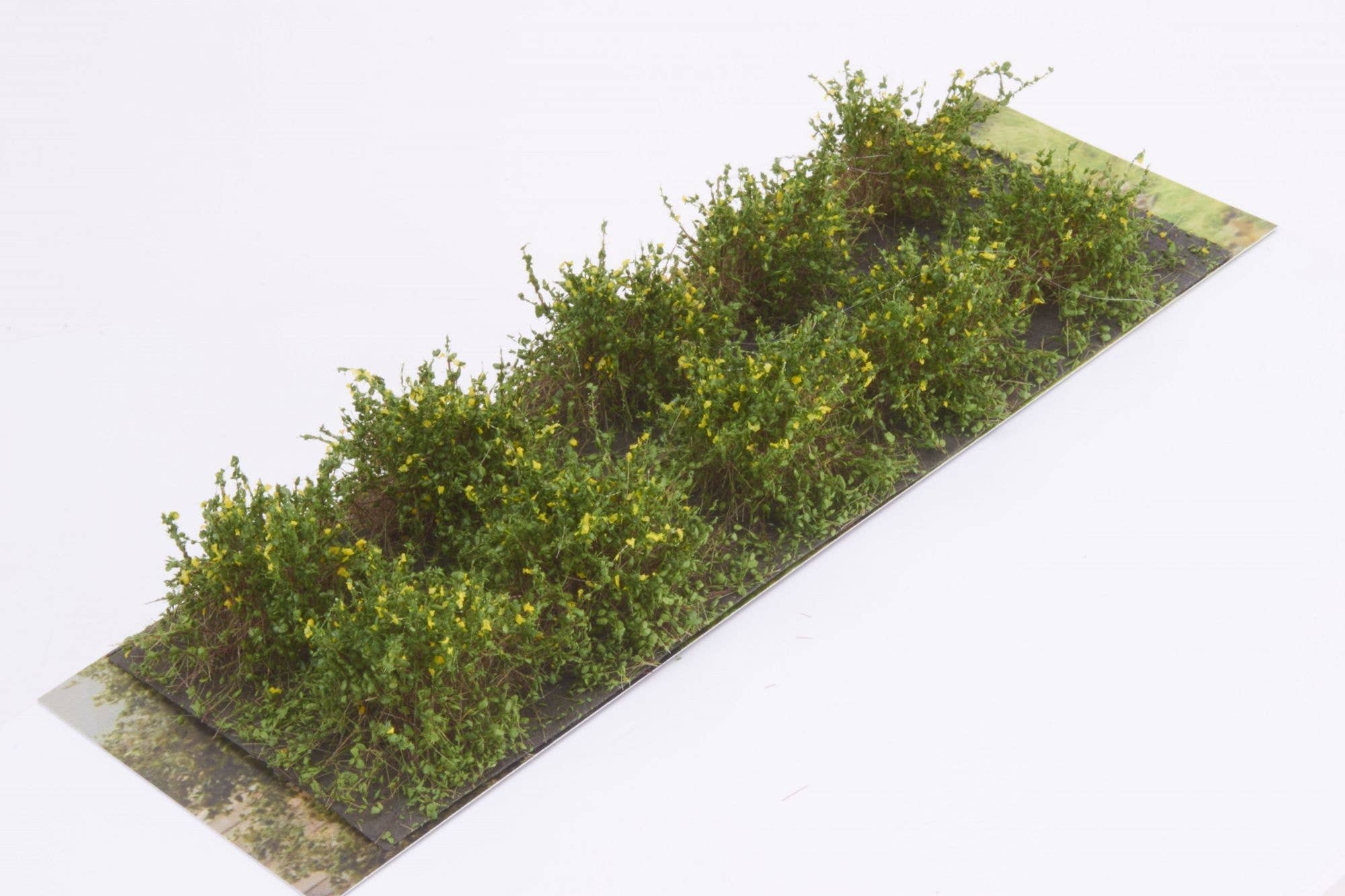 Martin Welberg SDG Bushes Type D Yellow