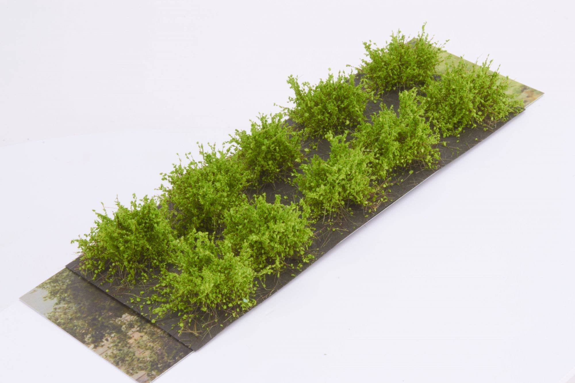 Martin Welberg SDLG Bushes Type D Light Green