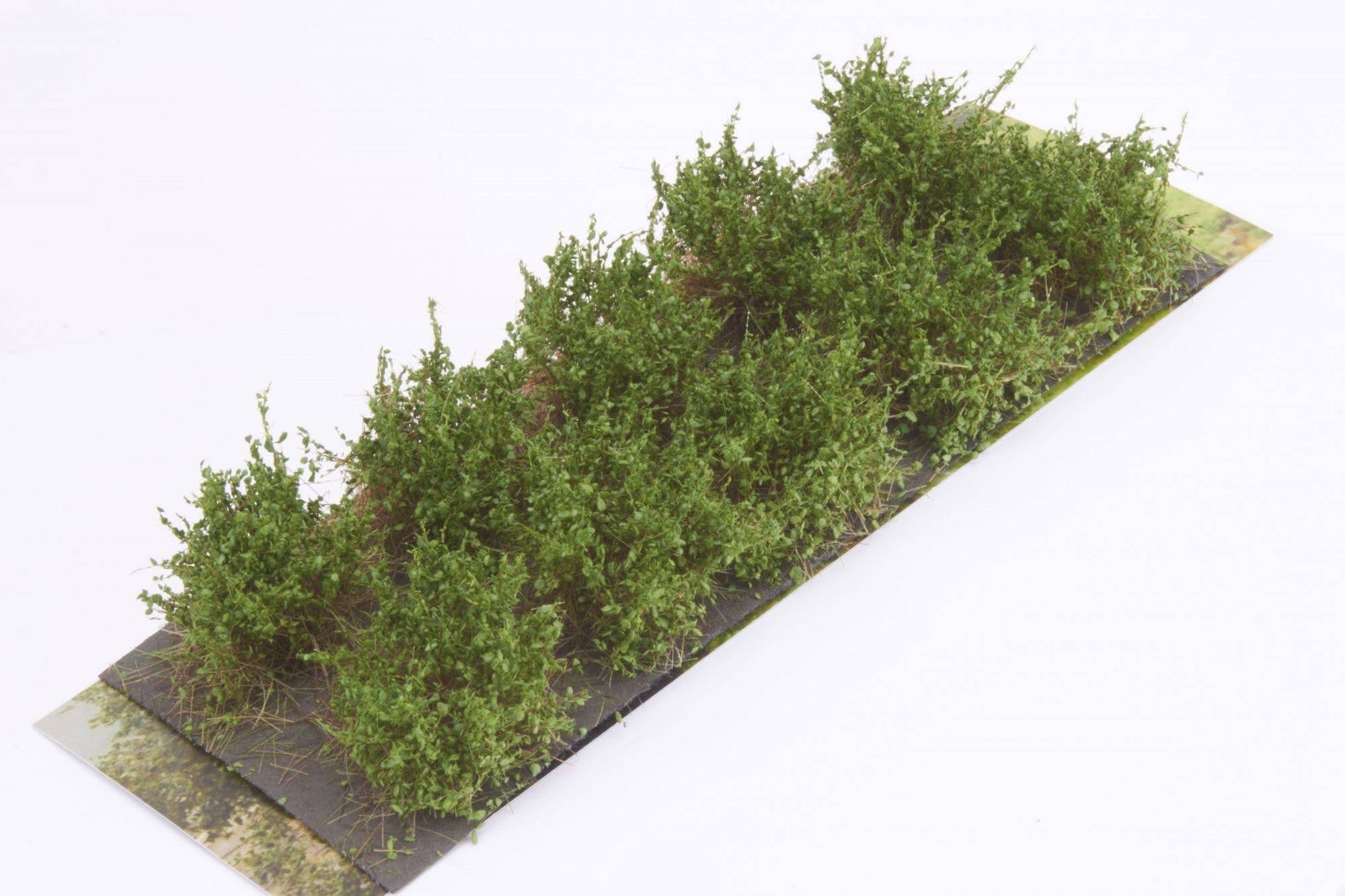 Martin Welberg SDMG Bushes Type D Medium Green