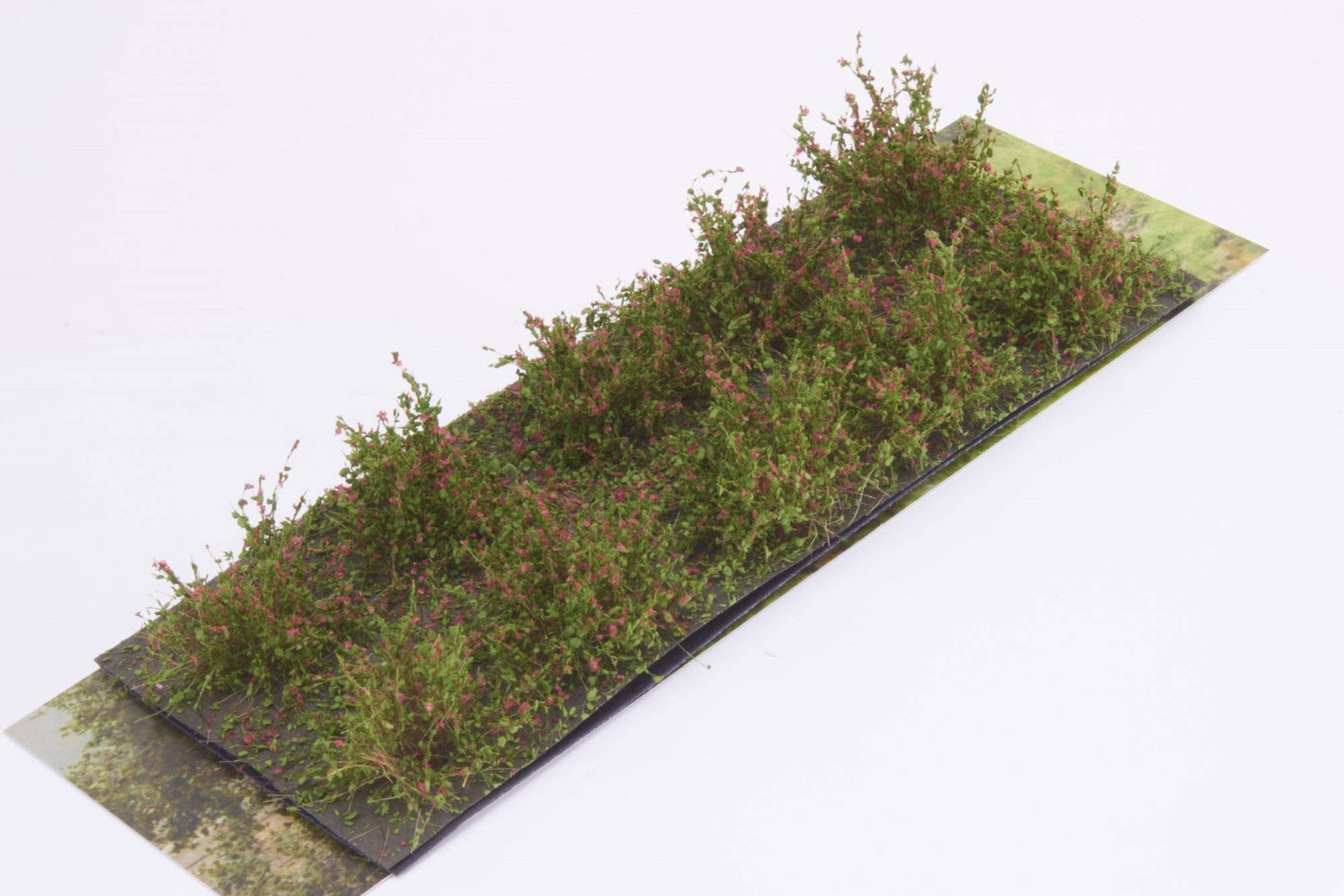 Martin Welberg SDR Bushes Type D Red