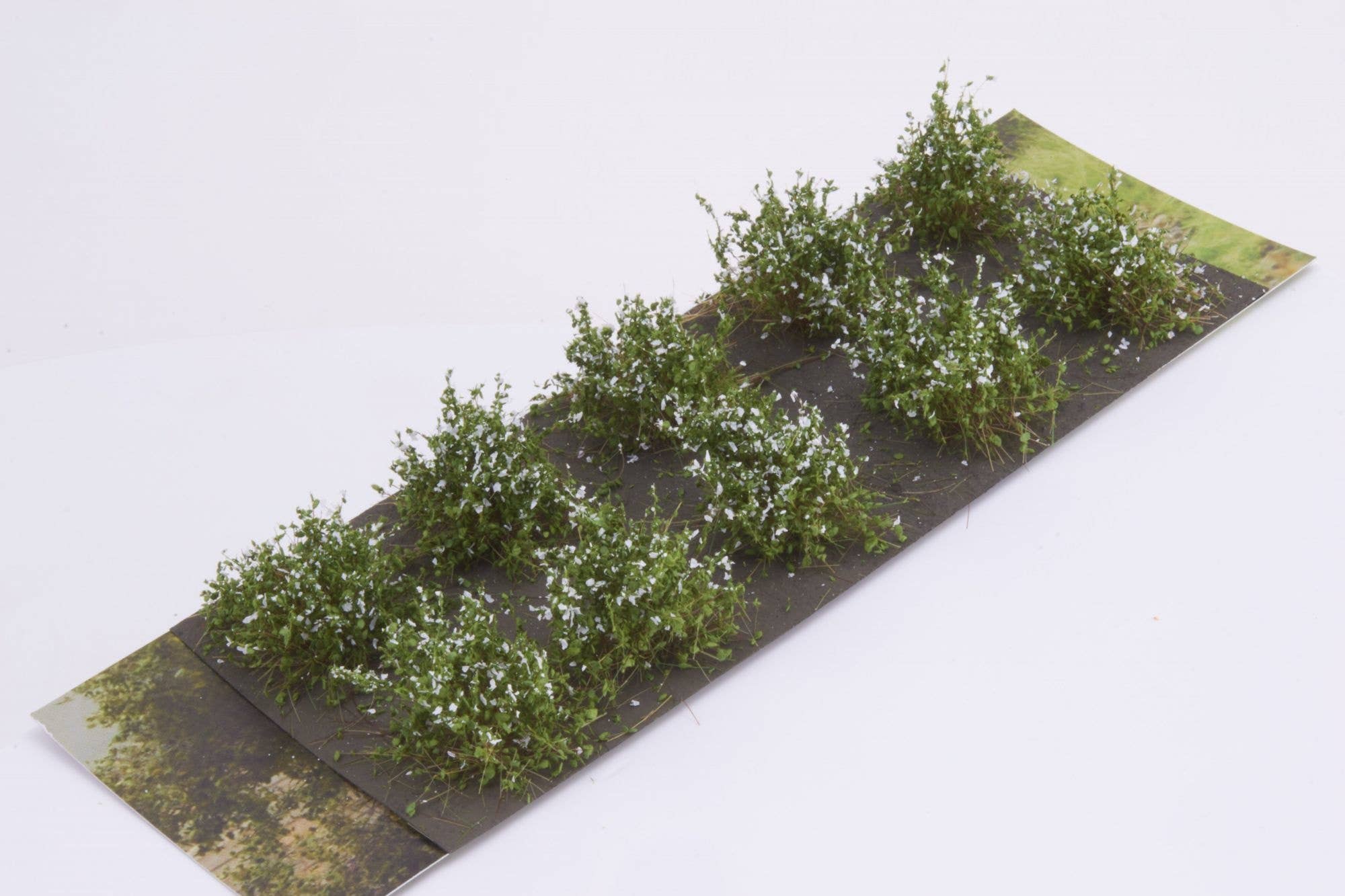 Martin Welberg SDW Bushes Type D White