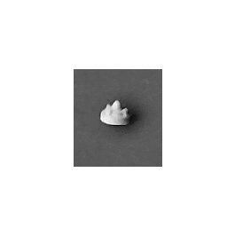 Detail Associates 1802 HO Scale Radio Antennas -- Whip Type pkg(6)
