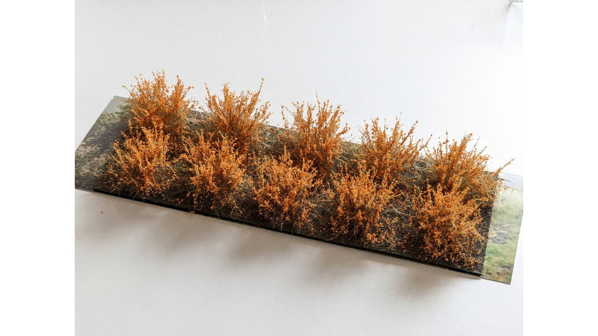 Martin Welberg SDOH Bushes Type D Orange Fall
