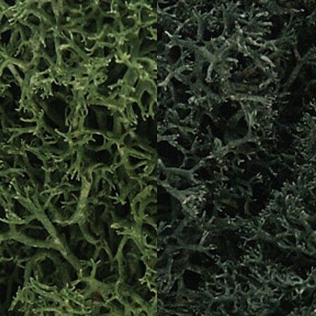 Woodland Scenics L168 Lichen - Dark Green Mix (3 qt)